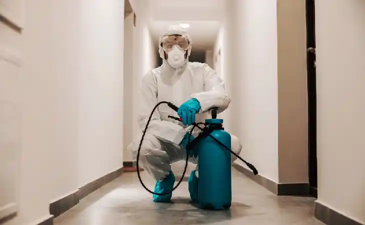 شركات رش المبيدات المعتمدة 01050003433 خيارك الامثل للتخلص من الحشرات المنزلية